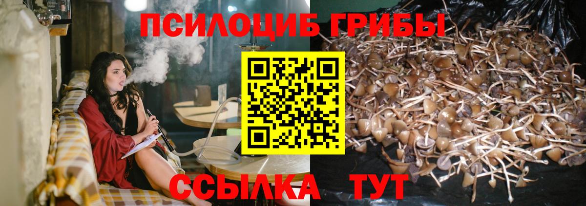 Псилоцибиновые грибы мухоморы  Вход с VPN  Псилоцибиновые грибы GOLDEN TEACHER  купить наркотики цена  Нижнеудинск 