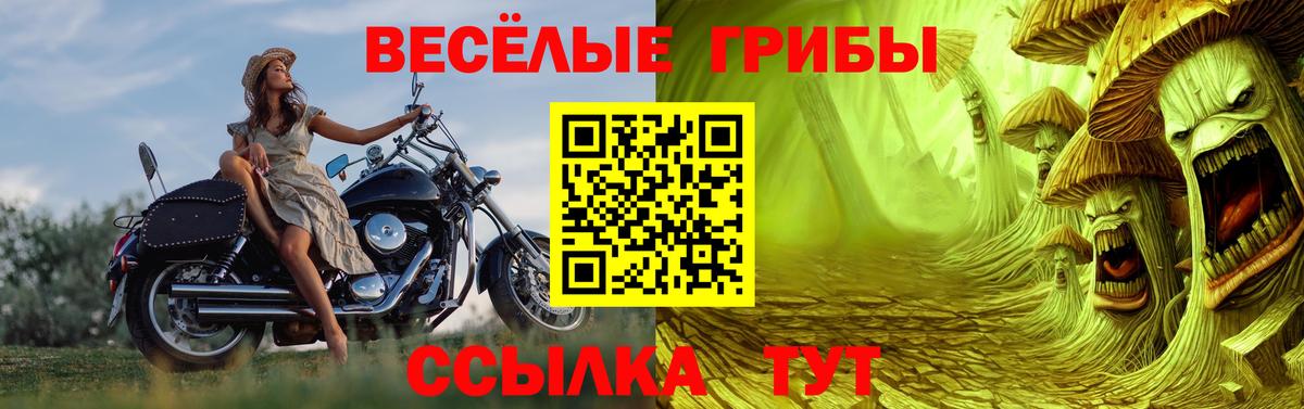 Галлюциногенные грибы MAGIC MUSHROOMS Нижнеудинск